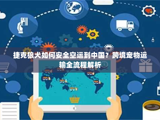 捷克狼犬如何安全空运到中国？跨境宠物运输全流程解析