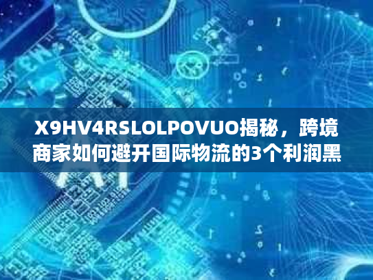 X9HV4RSLOLPOVUO揭秘，跨境商家如何避开国际物流的3个利润黑洞？