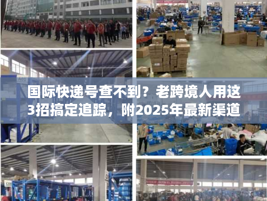 国际快递号查不到？老跨境人用这3招搞定追踪，附2025年最新渠道攻略