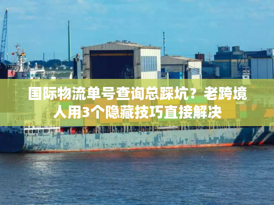 国际物流单号查询总踩坑？老跨境人用3个隐藏技巧直接解决