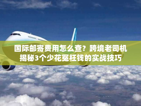 国际邮寄费用怎么查?跨境老司机揭秘3个少花冤枉钱的实战技巧 国际邮寄费用怎么查?跨境老司机揭秘3个少花冤枉钱的实战技巧