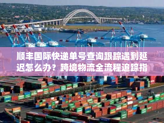 顺丰国际快递单号查询跟踪遇到延迟怎么办？跨境物流全流程追踪指南