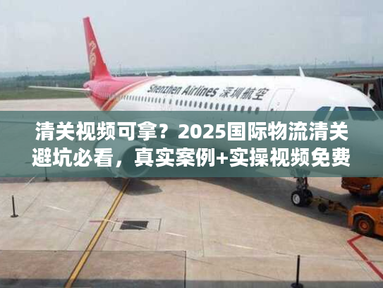 清关视频可拿？2025国际物流清关避坑必看，真实案例+实操视频免费领