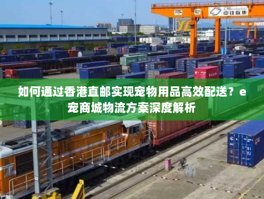 如何通过香港直邮实现宠物用品高效配送？e宠商城物流方案深度解析