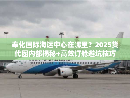 奉化国际海运中心在哪里？2025货代圈内部揭秘+高效订舱避坑技巧