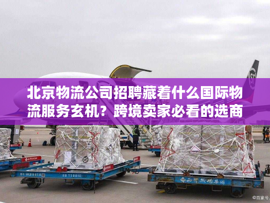 北京物流公司招聘藏着什么国际物流服务玄机？跨境卖家必看的选商密码