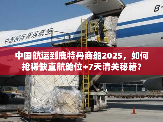 中国航运到鹿特丹商船2025，如何抢稀缺直航舱位+7天清关秘籍？