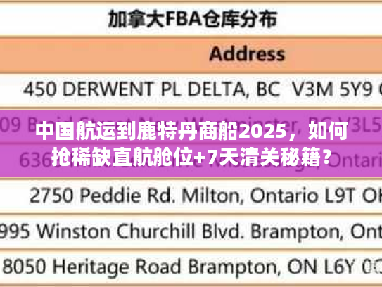 中国航运到鹿特丹商船2025，如何抢稀缺直航舱位+7天清关秘籍？