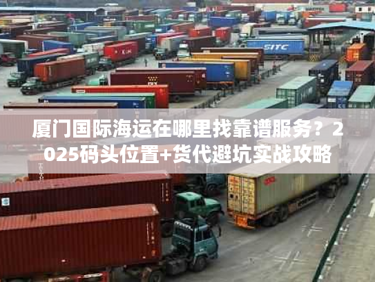 厦门国际海运在哪里找靠谱服务？2025码头位置+货代避坑实战攻略