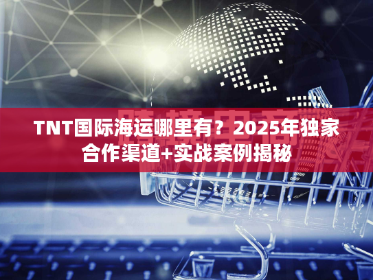 TNT国际海运哪里有?2025年独家合作渠道+实战案例揭秘 TNT国际海运哪里有?2025年独家合作渠道+实战案例揭秘