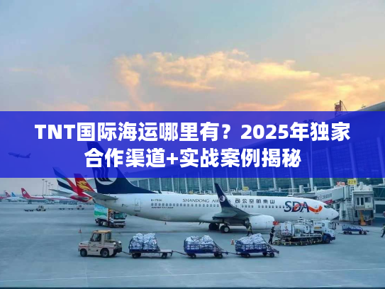 TNT国际海运哪里有?2025年独家合作渠道+实战案例揭秘 TNT国际海运哪里有?2025年独家合作渠道+实战案例揭秘