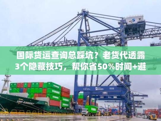 国际货运查询总踩坑？老货代透露3个隐藏技巧，帮你省50%时间+避免丢件