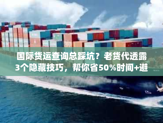 国际货运查询总踩坑？老货代透露3个隐藏技巧，帮你省50%时间+避免丢件