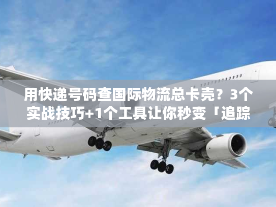用快递号码查国际物流总卡壳？3个实战技巧+1个工具让你秒变「追踪高手」