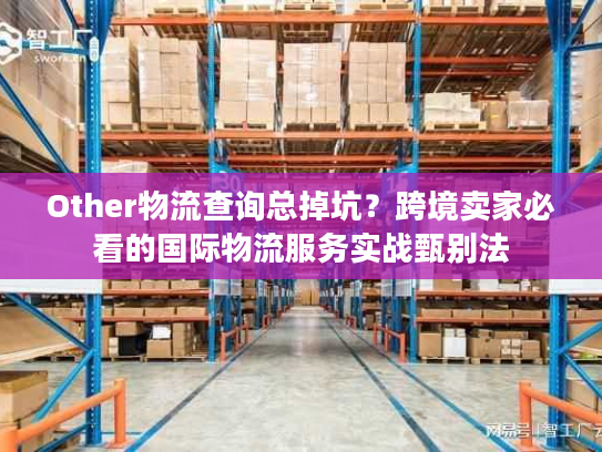Other物流查询总掉坑？跨境卖家必看的国际物流服务实战甄别法