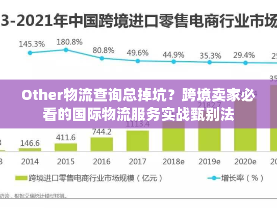 Other物流查询总掉坑？跨境卖家必看的国际物流服务实战甄别法