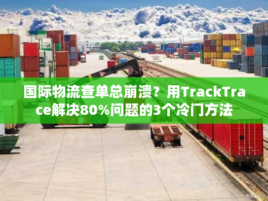 国际物流查单总崩溃？用TrackTrace解决80%问题的3个冷门方法