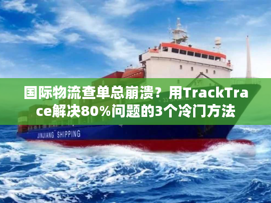 国际物流查单总崩溃？用TrackTrace解决80%问题的3个冷门方法