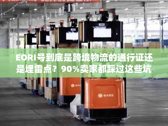 EORI号到底是跨境物流的通行证还是埋雷点？90%卖家都踩过这些坑