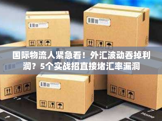 国际物流人紧急看！外汇波动吞掉利润？5个实战招直接堵汇率漏洞