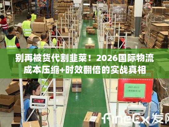 别再被货代割韭菜！2026国际物流成本压缩+时效翻倍的实战真相
