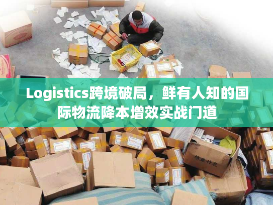 Logistics跨境破局，鲜有人知的国际物流降本增效实战门道