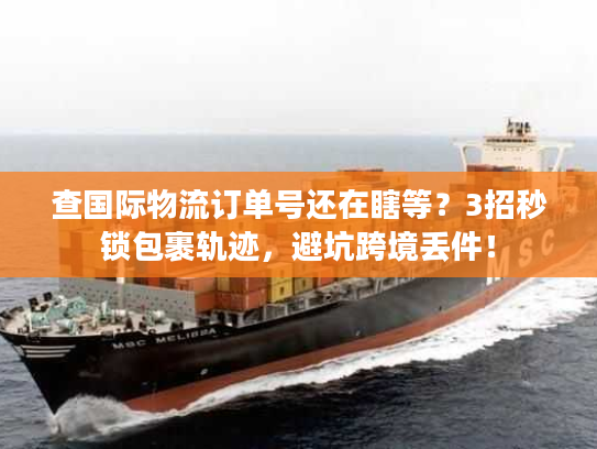 查国际物流订单号还在瞎等？3招秒锁包裹轨迹，避坑跨境丢件！