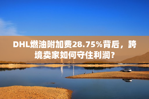 DHL燃油附加费28.75%背后，跨境卖家如何守住利润？