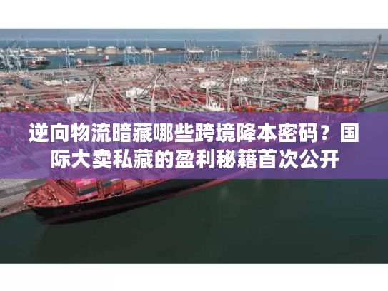 逆向物流暗藏哪些跨境降本密码？国际大卖私藏的盈利秘籍首次公开