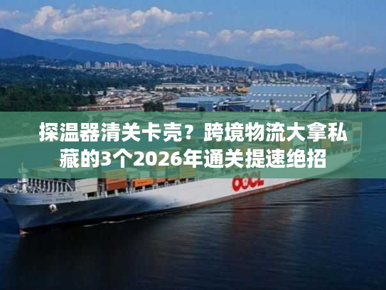 探温器清关卡壳？跨境物流大拿私藏的3个2026年通关提速绝招