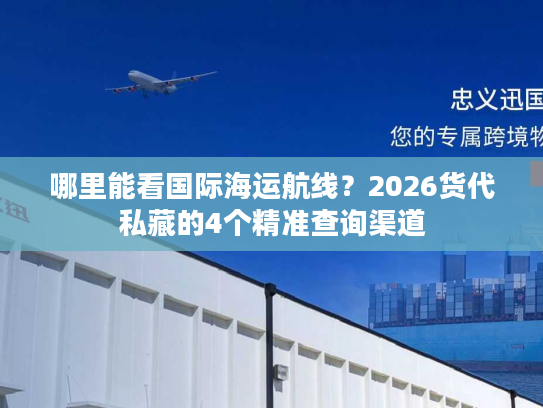 哪里能看国际海运航线？2026货代私藏的4个精准查询渠道