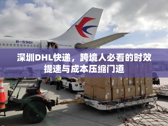 深圳DHL快递，跨境人必看的时效提速与成本压缩门道