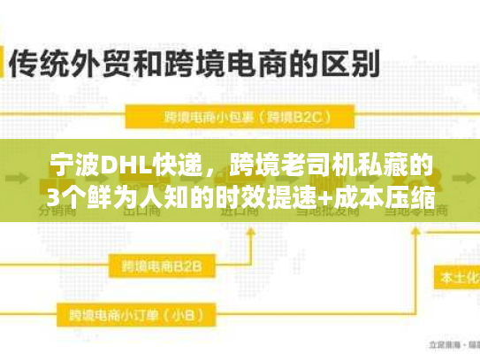 宁波DHL快递,跨境老司机私藏的3个鲜为人知的时效提速+成本压缩门道 宁波DHL快递,跨境老司机私藏的3个鲜为人知的时效提速+成本压缩门道