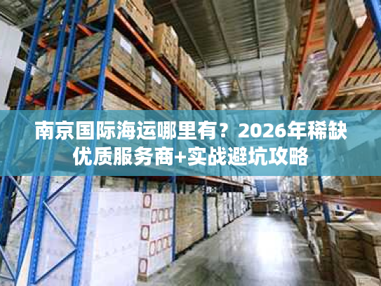 南京国际海运哪里有？2026年稀缺优质服务商+实战避坑攻略