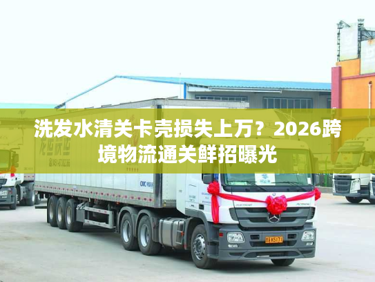 洗发水清关卡壳损失上万？2026跨境物流通关鲜招曝光