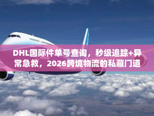 DHL国际件单号查询，秒级追踪+异常急救，2026跨境物流的私藏门道