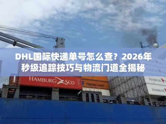 DHL国际快递单号怎么查？2026年秒级追踪技巧与物流门道全揭秘