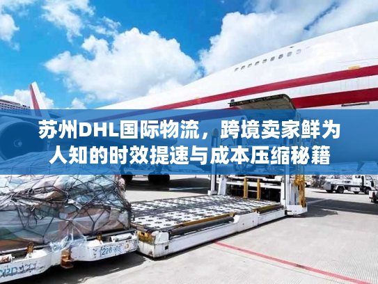 苏州DHL国际物流，跨境卖家鲜为人知的时效提速与成本压缩秘籍