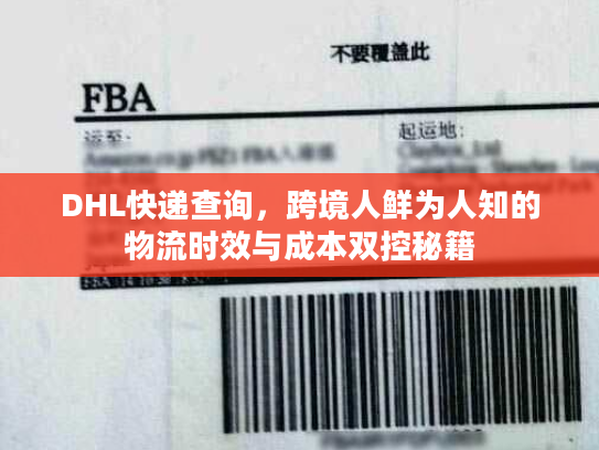 DHL快递查询，跨境人鲜为人知的物流时效与成本双控秘籍
