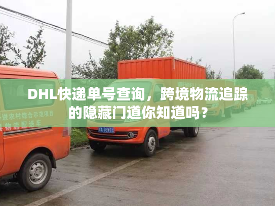 DHL快递单号查询，跨境物流追踪的隐藏门道你知道吗？