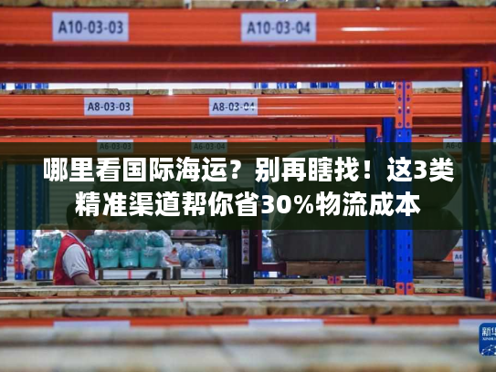 哪里看国际海运?别再瞎找!这3类精准渠道帮你省30%物流成本 哪里看国际海运?别再瞎找!这3类精准渠道帮你省30%物流成本