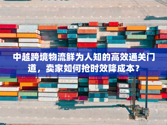 中越跨境物流鲜为人知的高效通关门道，卖家如何抢时效降成本？