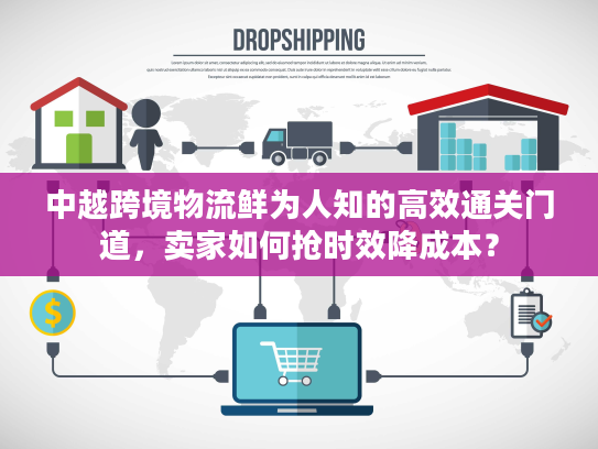 中越跨境物流鲜为人知的高效通关门道，卖家如何抢时效降成本？