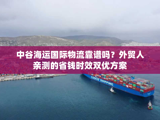 中谷海运国际物流靠谱吗？外贸人亲测的省钱时效双优方案