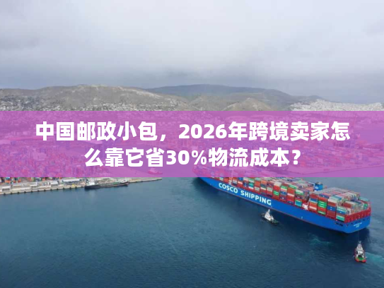 中国邮政小包，2026年跨境卖家怎么靠它省30%物流成本？