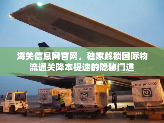 海关信息网官网,独家解锁国际物流通关降本提速的隐秘门道 海关信息网官网,独家解锁国际物流通关降本提速的隐秘门道