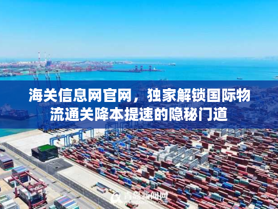 海关信息网官网,独家解锁国际物流通关降本提速的隐秘门道 海关信息网官网,独家解锁国际物流通关降本提速的隐秘门道