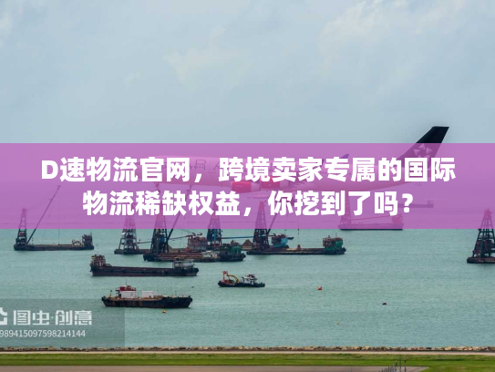 D速物流官网，跨境卖家专属的国际物流稀缺权益，你挖到了吗？