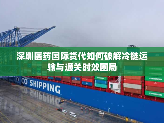 深圳医药国际货代如何破解冷链运输与通关时效困局
