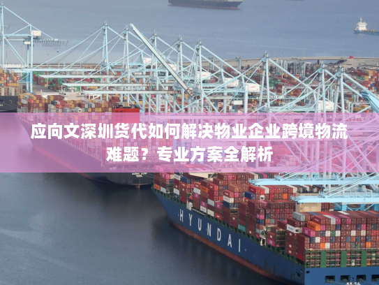 应向文深圳货代如何解决物业企业跨境物流难题?专业方案全解析 应向文深圳货代如何解决物业企业跨境物流难题?专业方案全解析